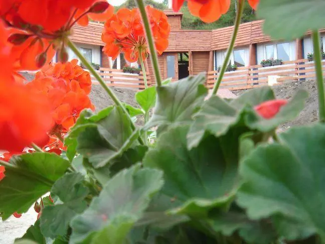 Cztery Pory Roku Tarnowskie Gory